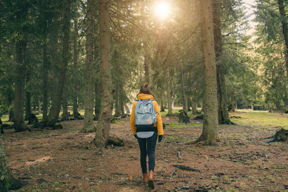 Event format highlight card